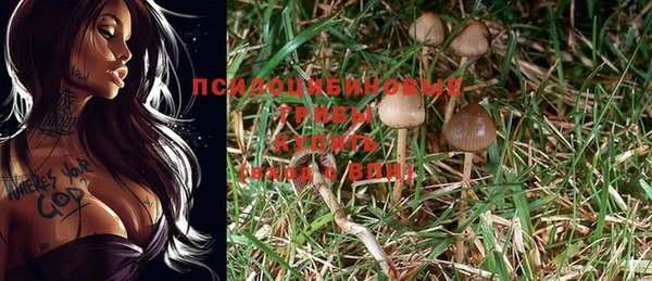 кокс Волоколамск