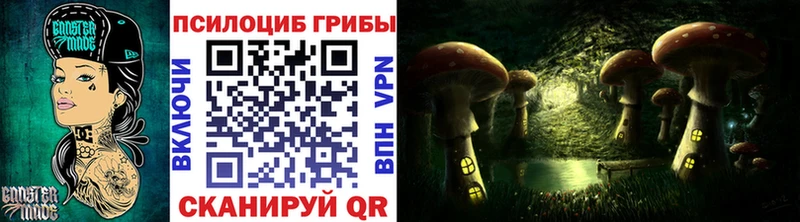 Галлюциногенные грибы GOLDEN TEACHER Купить где Котельниково